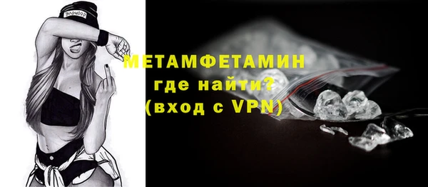 ГАЛЛЮЦИНОГЕННЫЕ ГРИБЫ Осинники