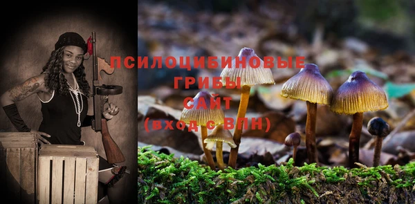 марки lsd Нязепетровск
