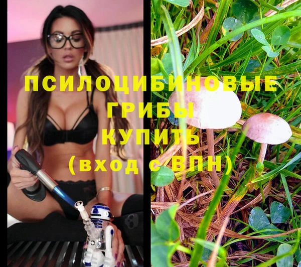 не бодяженный Няндома