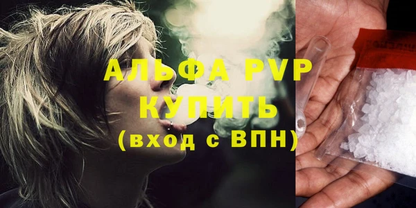 ГАЛЛЮЦИНОГЕННЫЕ ГРИБЫ Осинники