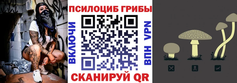 Псилоцибиновые грибы Cubensis Купить Яблоновский